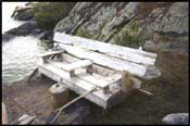 Driftwood Bench.
